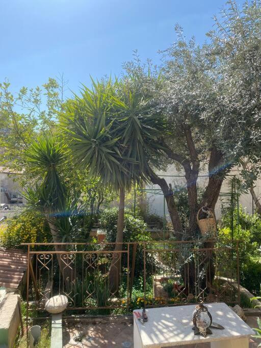 Central House With Beautiful Garden Amman Eksteriør bilde