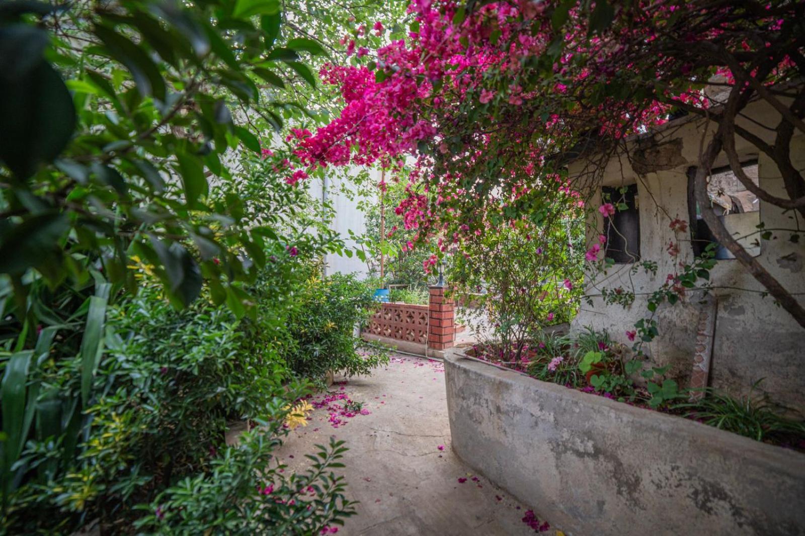 Central House With Beautiful Garden Amman Eksteriør bilde